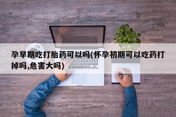 打胎药私人店联系方式保密发货,指导用药孕早期吃打胎药可以吗(怀孕初期可以吃药打掉吗,危害大吗)
